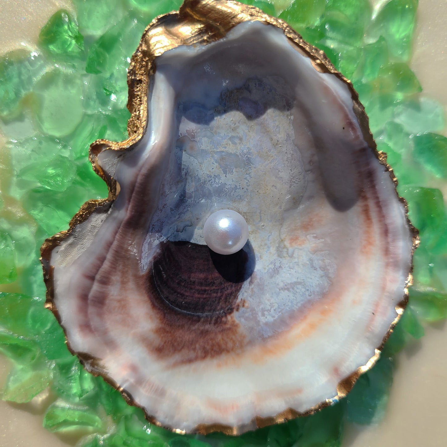 Mixed Media Artwork, 3-D Oyster Shell On Green Glass