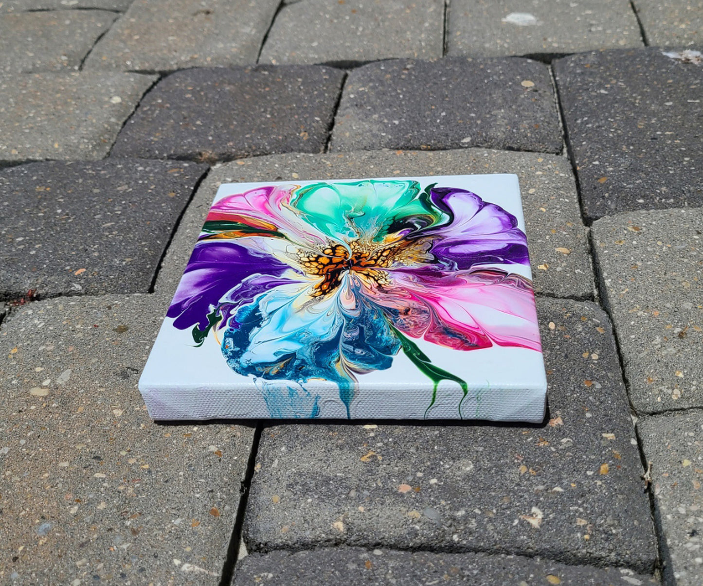 Multi-Color Bloom, Acrylic Art on Canvas, 6 x 6