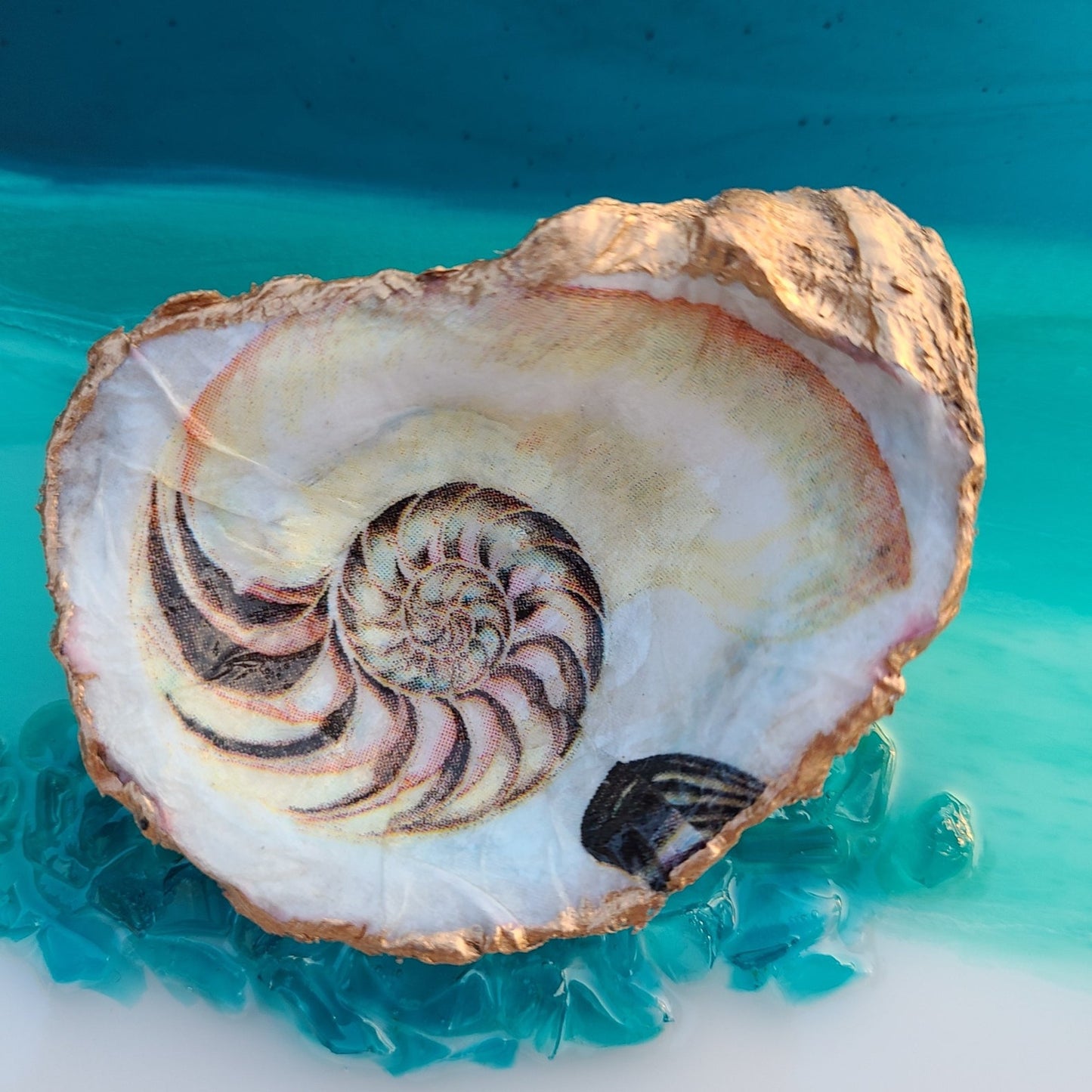 Nautilus Design On Oyster Shell Wall Art