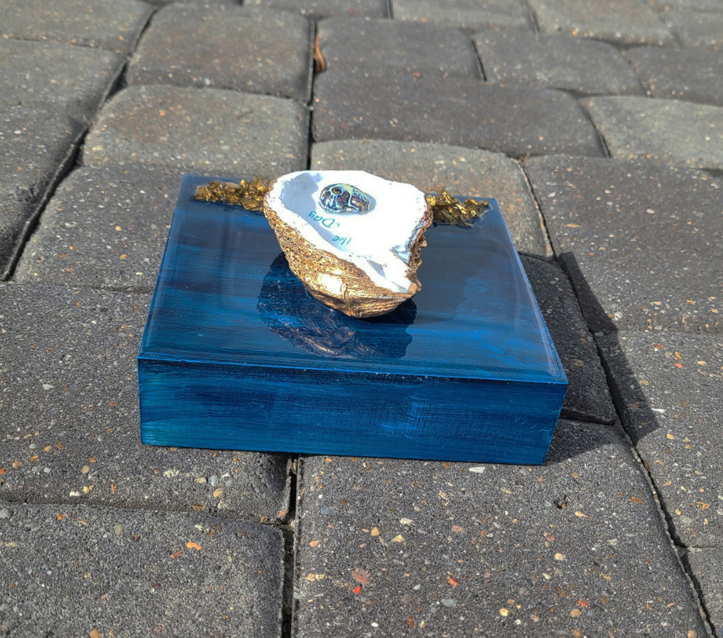 Seas The Day Wall Art, 3-Oyster Shell, Nautilus