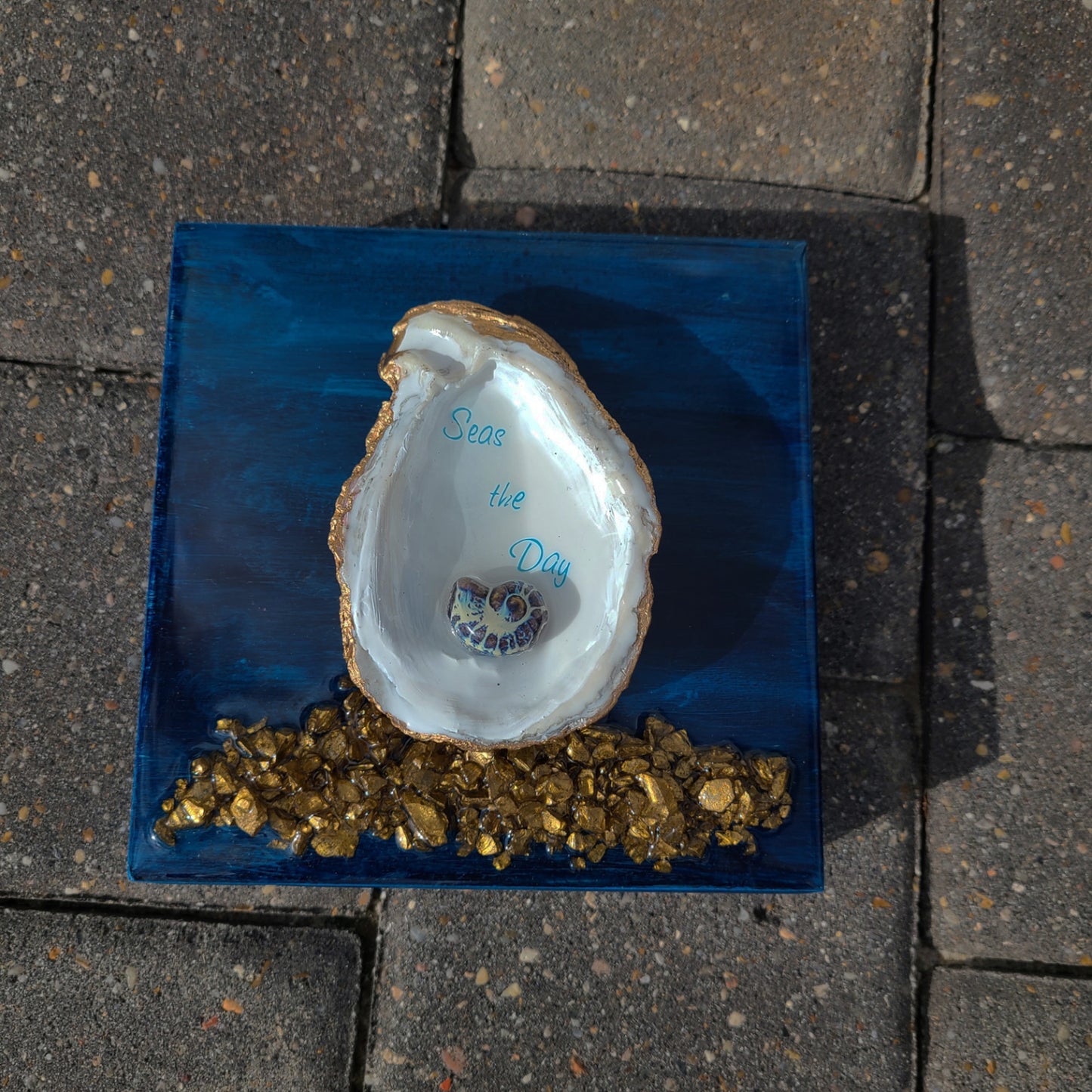 Seas The Day Wall Art, 3-Oyster Shell, Nautilus