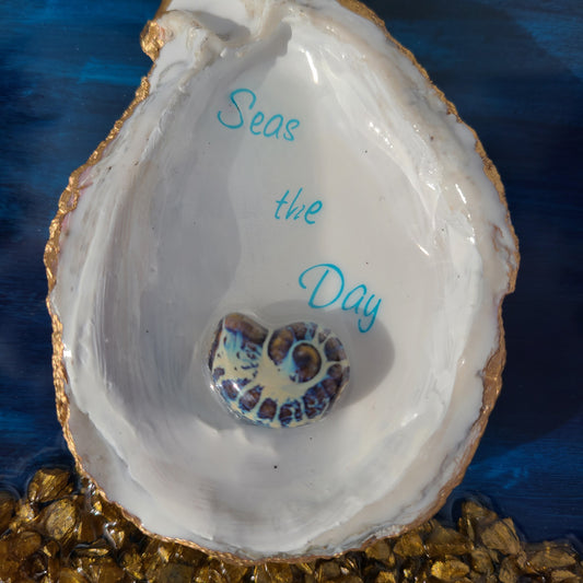 Seas The Day Wall Art, 3-Oyster Shell, Nautilus