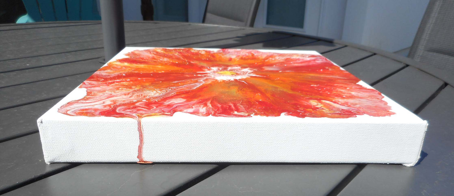 Poppy Burst, Acrylic Flower, 12 x 12 Canvas