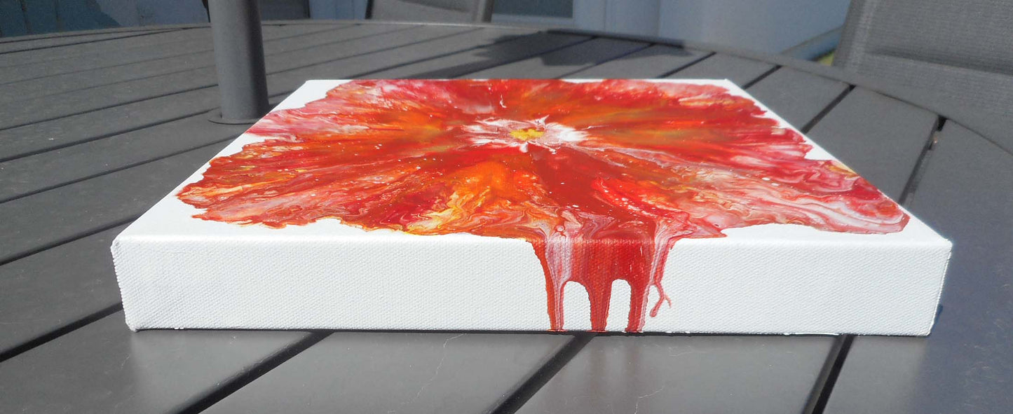 Poppy Burst, Acrylic Flower, 12 x 12 Canvas
