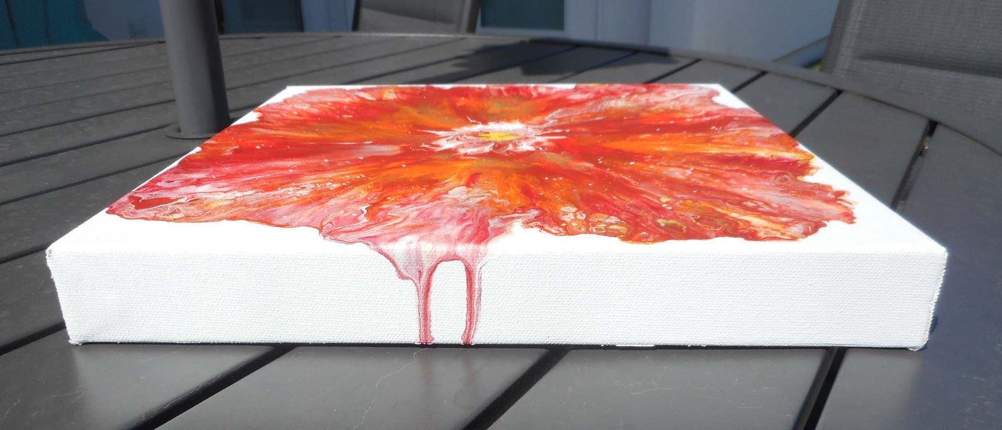 Poppy Burst, Acrylic Flower, 12 x 12 Canvas