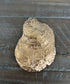 Oyster Shell Flamingo Design on Easel or Trinket Dish