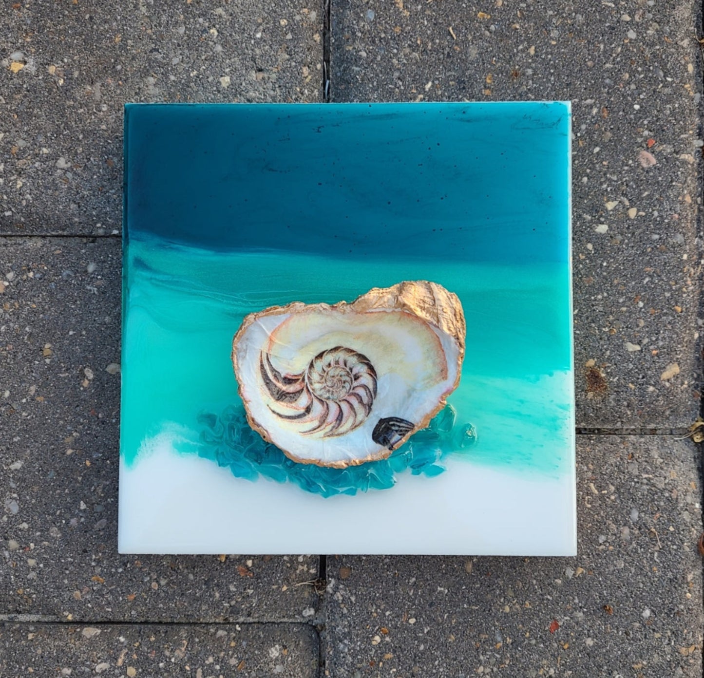 Nautilus Design On Oyster Shell Wall Art