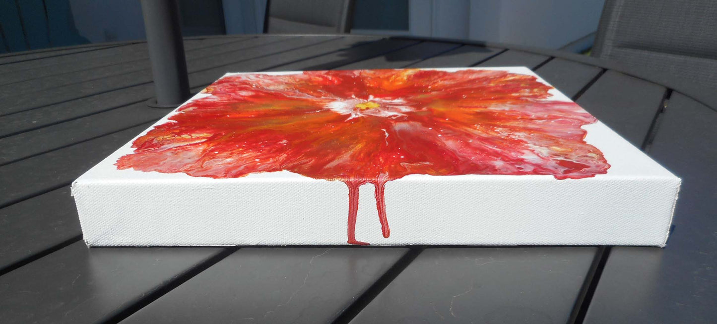 Poppy Burst, Acrylic Flower, 12 x 12 Canvas