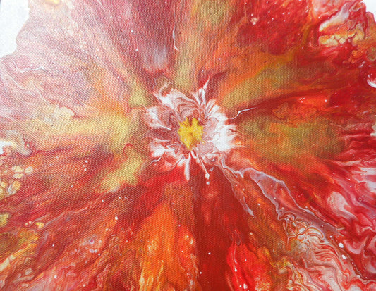 Poppy Burst, Acrylic Flower, 12 x 12 Canvas