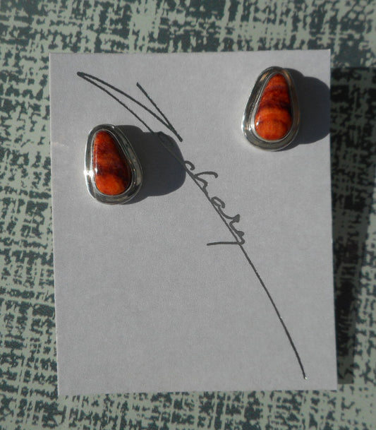 Orange Spiny Oyster, Sterling Silver Stud Earrings, Gertrude Zachary